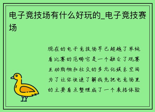 电子竞技场有什么好玩的_电子竞技赛场